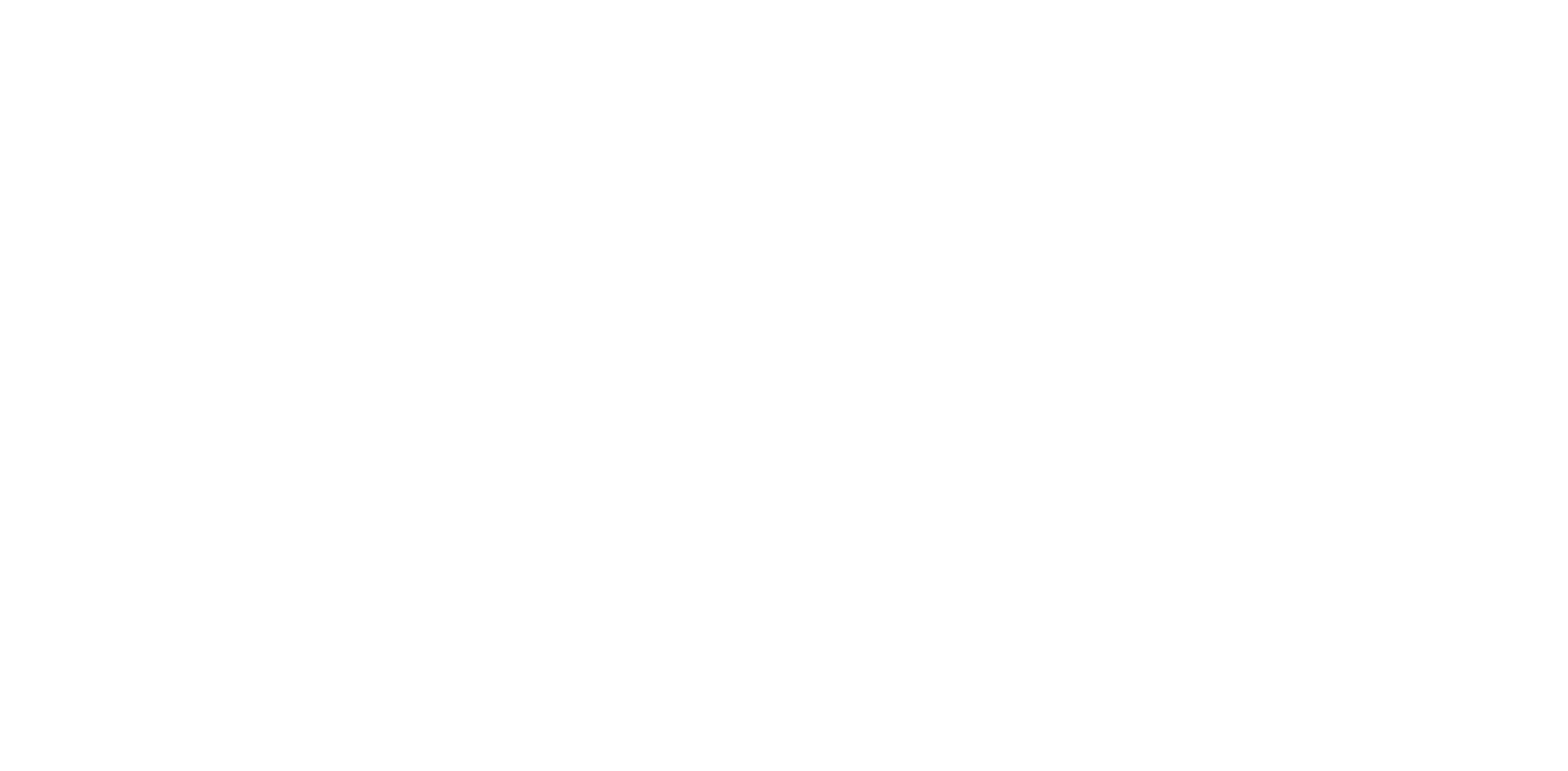 Logotipo de EVC WinOls