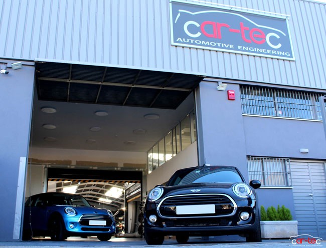 Mini en cartec